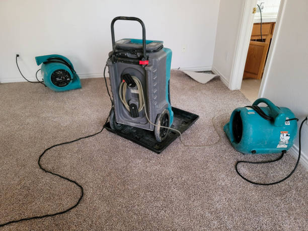 Best Professional water damage repair  in Edgewood, PA