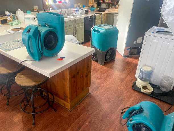 Best 24/7 water damage repair  in Edgewood, PA