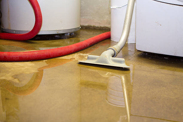 Best Water damage contractors near me  in Edgewood, PA