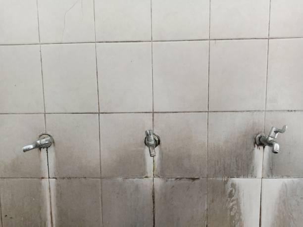 Best Water damage restoration services  in Edgewood, PA