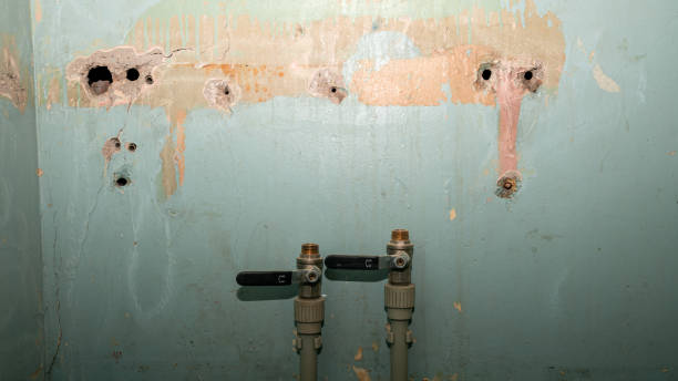 Best Mold removal after water damage  in Edgewood, PA