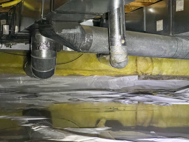 Best Mold removal after water damage  in Edgewood, PA