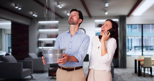 Best Emergency water damage restoration  in Edgewood, PA