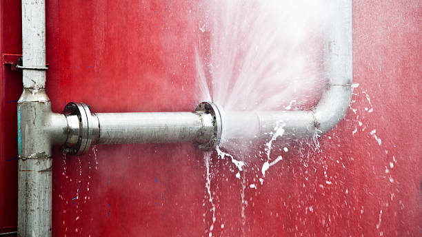Best Professional water damage repair  in Edgewood, PA